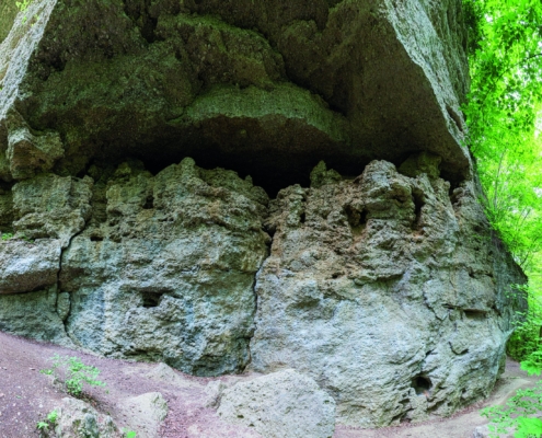 Exkursion Baierbrunn: Klettergarten Rollkieslagen