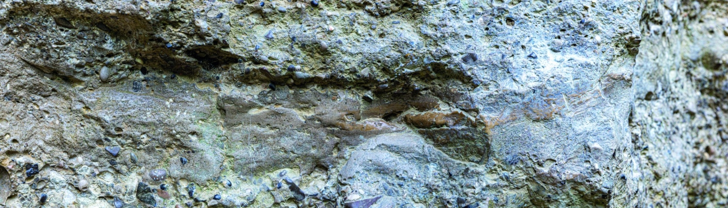 Exkursion Baierbrunn: Sandsteinlinse Deckenschotter