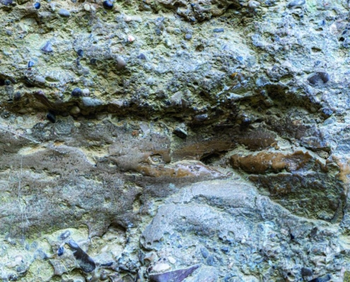 Exkursion Baierbrunn: Sandsteinlinse Deckenschotter