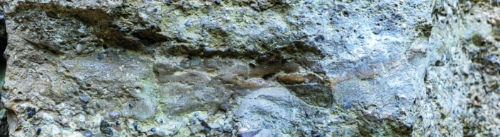 Exkursion Baierbrunn: Sandsteinlinse Deckenschotter