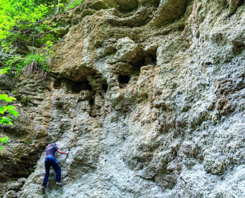 Exkursion Baierbrunn: Klettergarten Deckenschotter