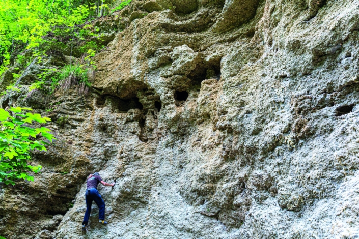 Exkursion Baierbrunn: Klettergarten Deckenschotter