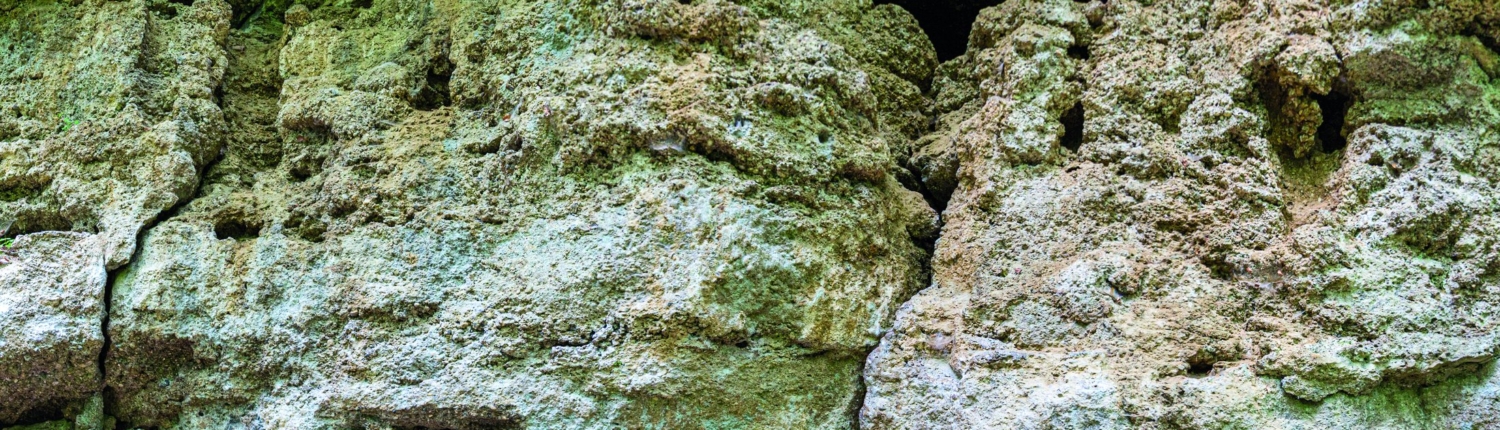 Exkursion Baierbrunn: Geologische Orgeln Panorama