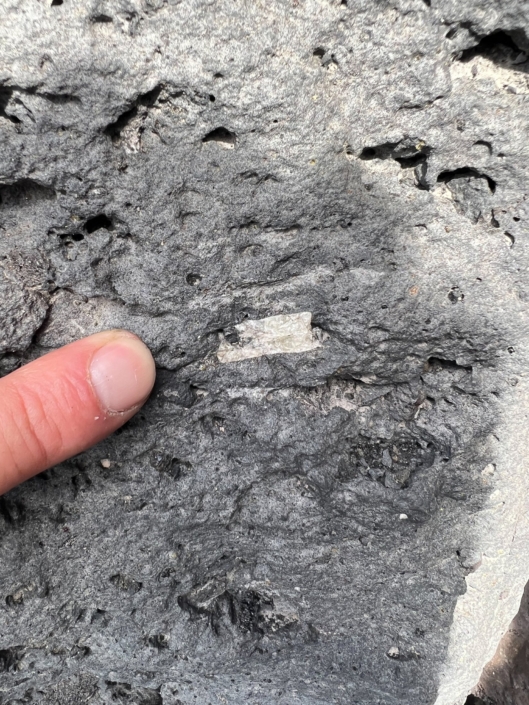 Exkursion Kanaren: Xenolith Lava Exkursion Kanaren: Xenolith Lava