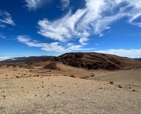 Exkursion Kanaren: Montaña Blanca Bims