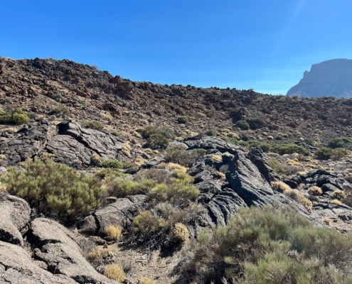 Exkursion Kanaren: Pahoehoe Lava