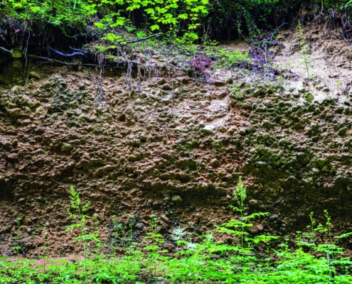 Exkursion Peißenberg: Aufschluss Michelsbach