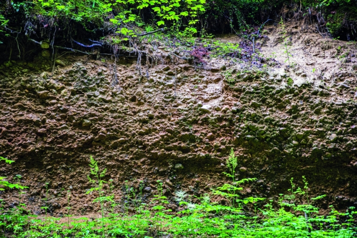 Exkursion Peißenberg: Aufschluss Michelsbach Exkursion Peißenberg: Aufschluss Michelsbach