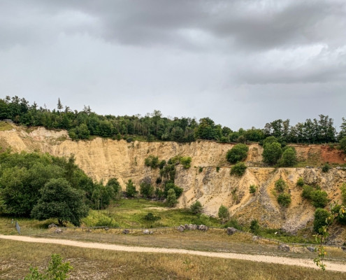 Exkursion Nördlinger Ries: Steinbruch Geopark Lindle