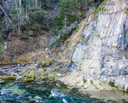 Exkursion Ammerschlucht Scheibum: Steilwand am Ammerufer (Drohnenaufnahme)