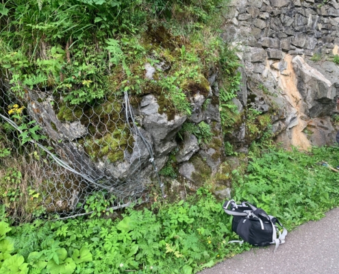 Exkursion Südtirol: Monzonit Predazzo