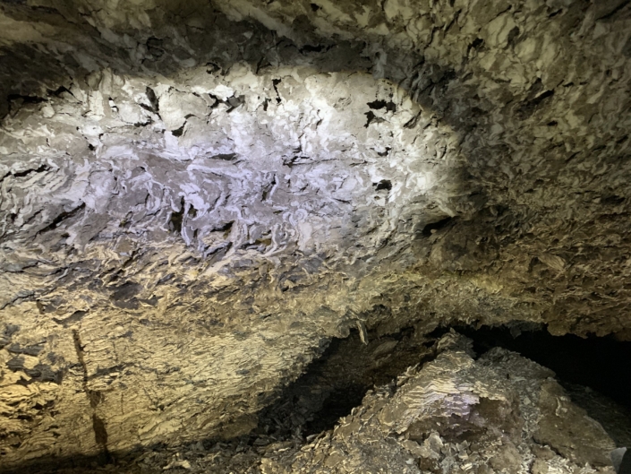 Exkursion Variszikum: Gipslappen Barbarossahöhle Exkursion Variszikum: Gipslappen Barbarossahöhle