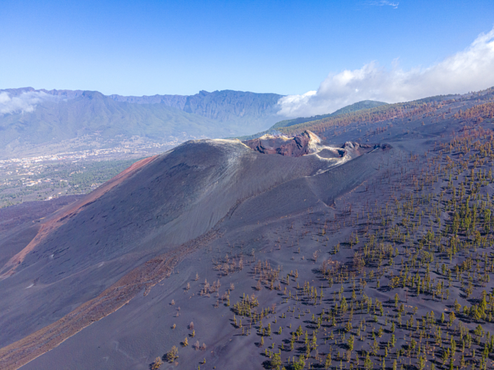 Tajogaite mit Aschefeldern und Kiefern Tajogaite mit Aschefeldern und Kiefern (La Palma)