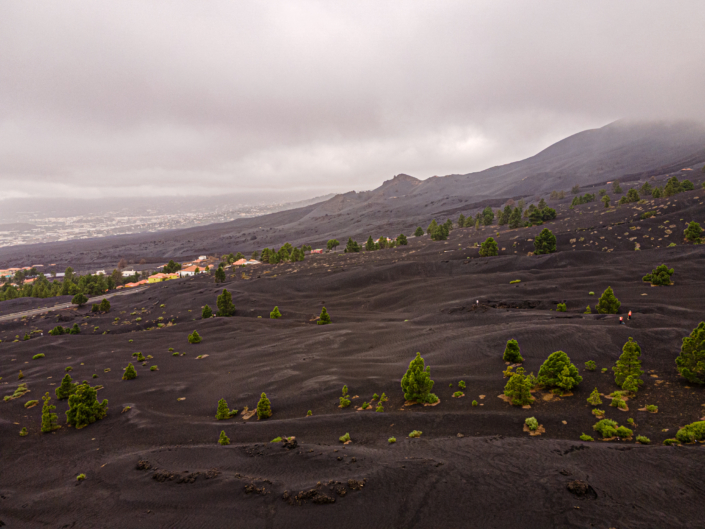 Aschefelder am Tajogaite Aschefelder am Tajogaite (La Palma)
